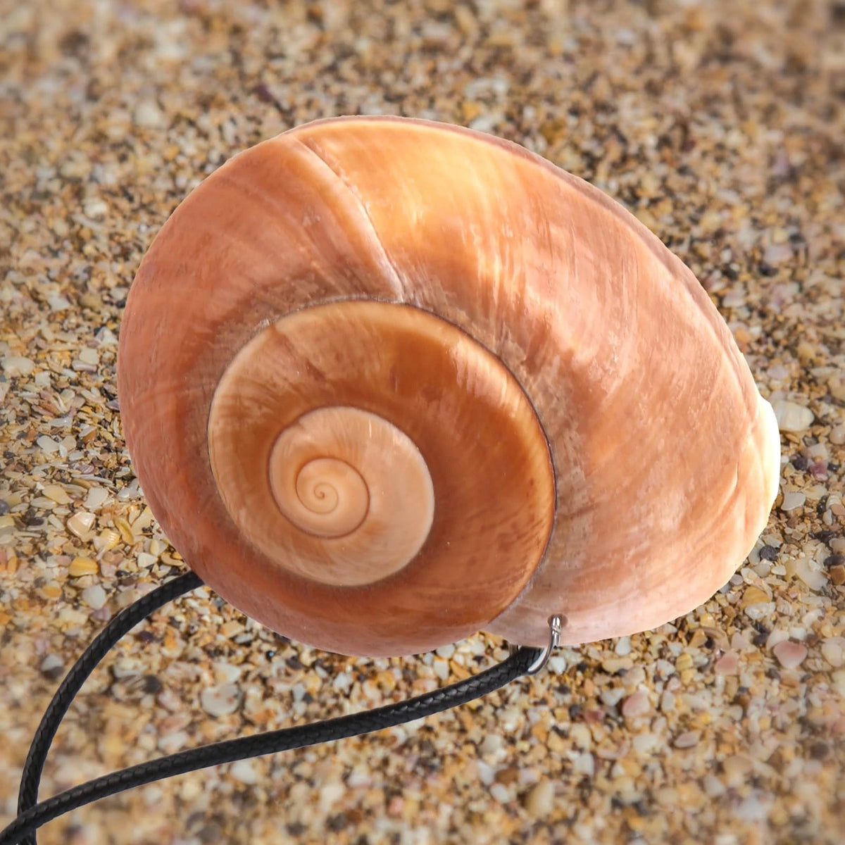 Glow Conch Shell Necklace for Adjustable Size (Calcium Carbonate & Plastic)