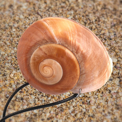 Glow Conch Shell Necklace for Adjustable Size (Calcium Carbonate & Plastic)