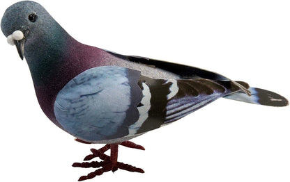 Simulation Foam Pigeon Model for Various Applications
