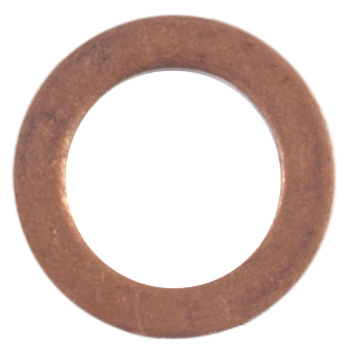 Sealing Ring for Formula III Grand Touring Renegade Skandic (420950141)