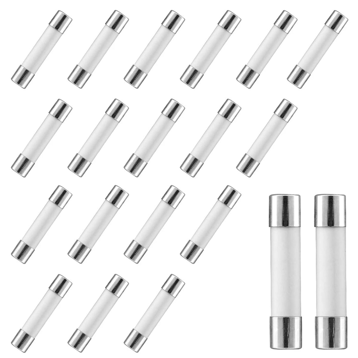 20-Pack 20 Amp Slow-Blow Time Delay Fuses for Microwaves (250V)