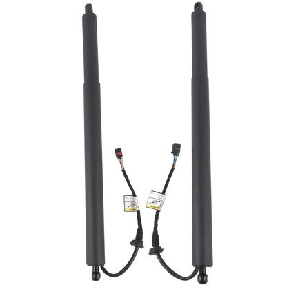 Pair of Power Tailgate Lifts for Hyundai Palisade (2020–2022)