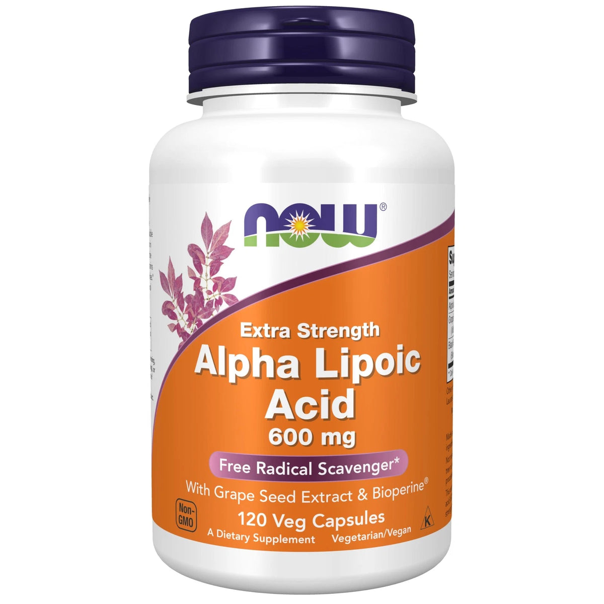 Alpha Lipoic Acid 600 mg for Supplements (Pack of 1)