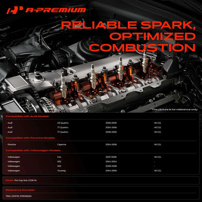 Set of 6 Iridium & Platinum Spark Plugs for Audi A3 Quattro (2006–2009) 101905606A, 7563