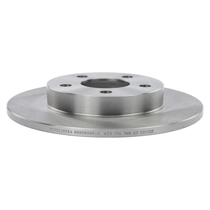 2X Rear Brake Discs for Olds Le Sabre, Buick Park Avenue (2005) - 18053473, R55065