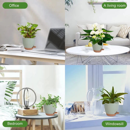 5-Pack Self-Watering Planters for Indoor House Plants (Drainage)