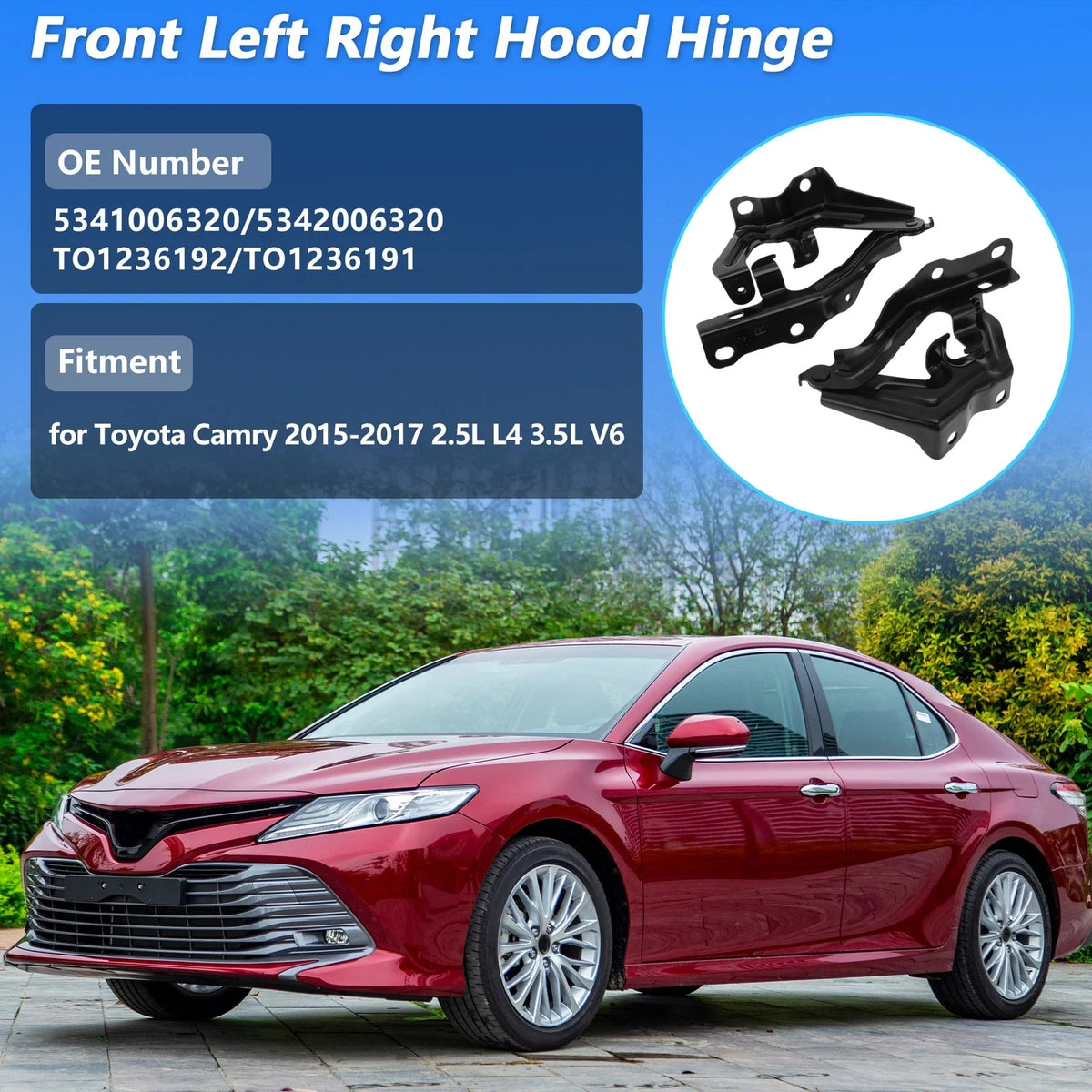 Front Hood Hinge Set for Toyota Camry (2015–2017) No. 5341006320/5342006320
