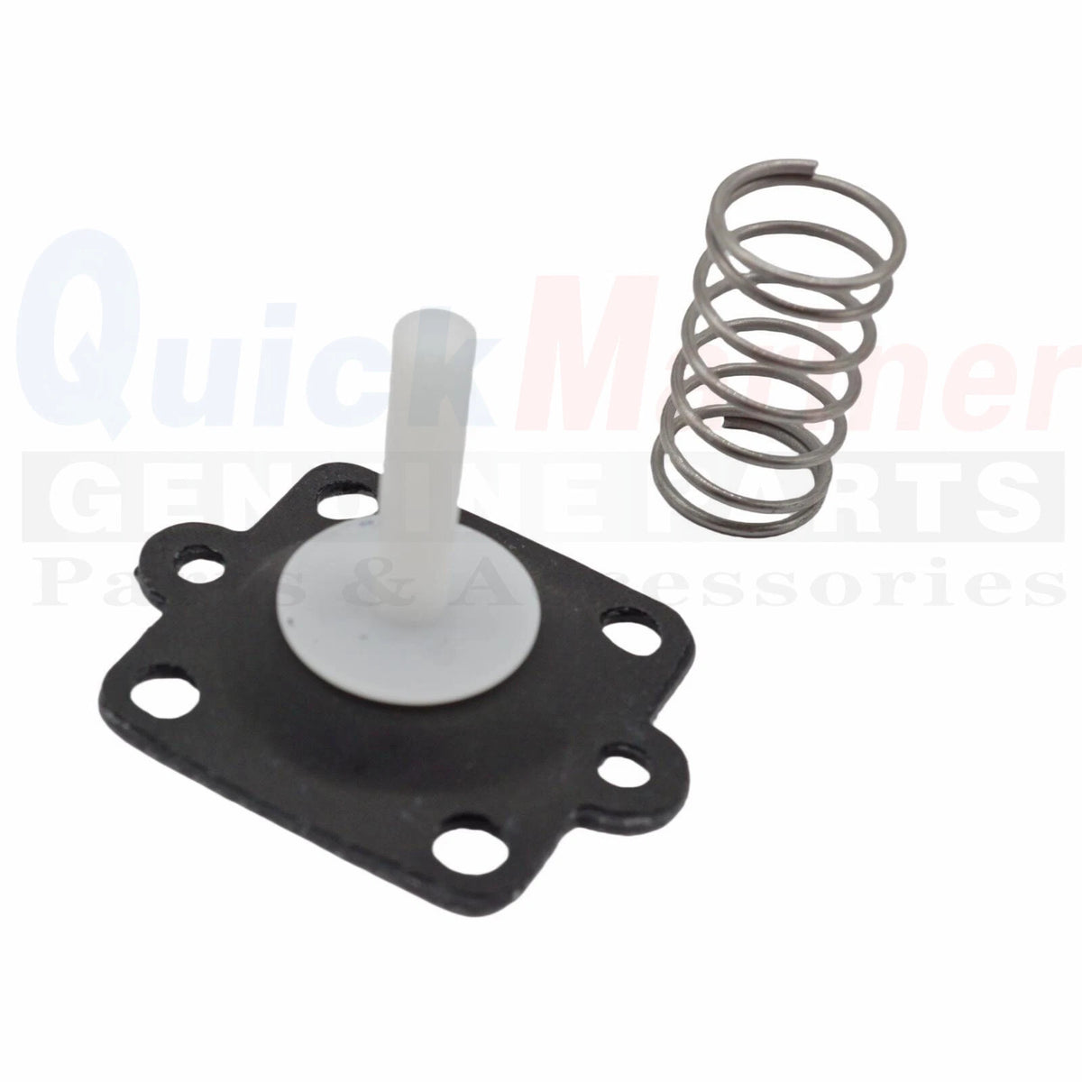 Repair Kit Accelerator Fuel Pump for Mercury 80 100 115 125 HP (88–04) 1395-811287