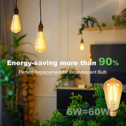 2X E26 Edison Bulbs 60W 2200K Amber Warm (Warm 2200K)