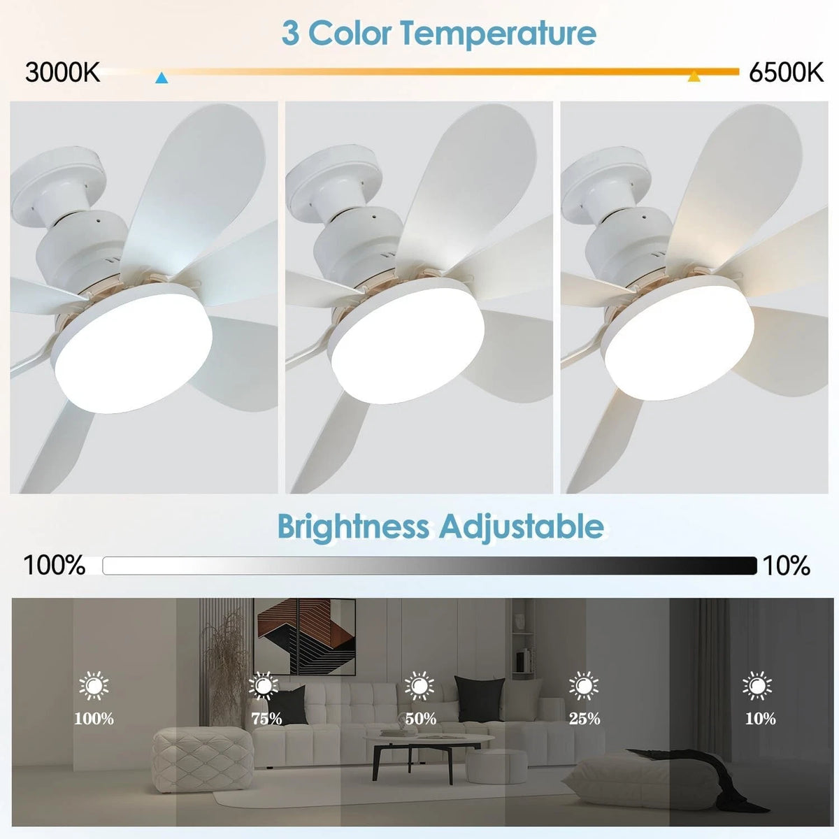 Socket Ceiling Fans with Lights and Remote - Dimmable LED