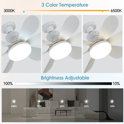 Socket Ceiling Fans with Lights and Remote - Dimmable LED