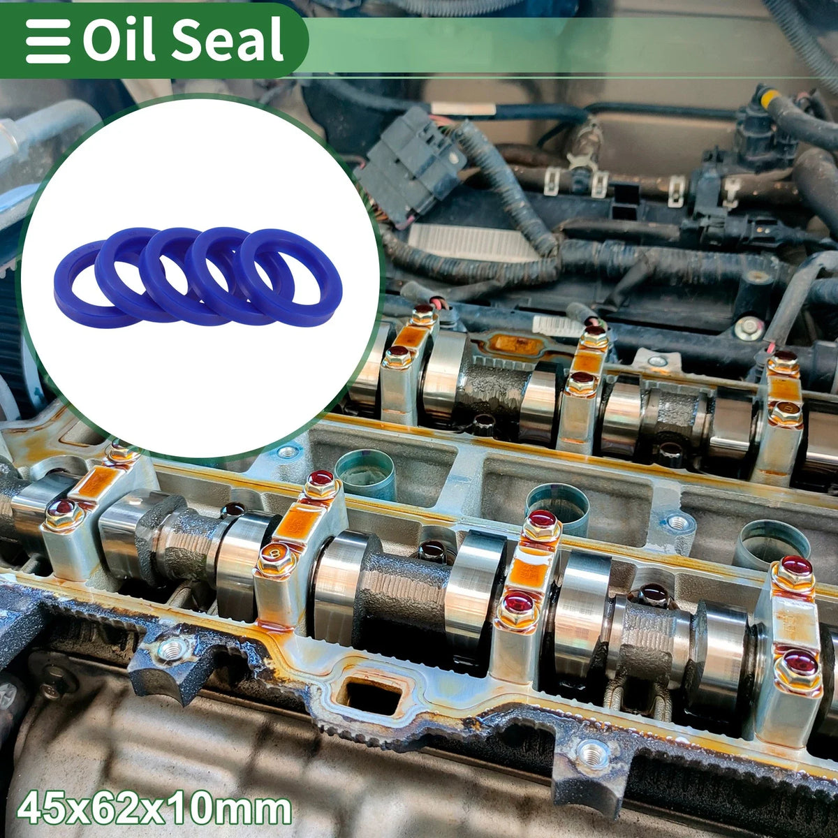Set of 5 Oil Seal Rotary Shaft Seal 45x62x10mm for Various Models