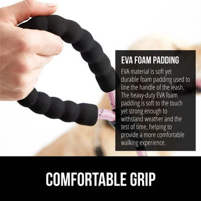 Heavy Duty Reflective Dog Leash for Small Dogs (33lb)
