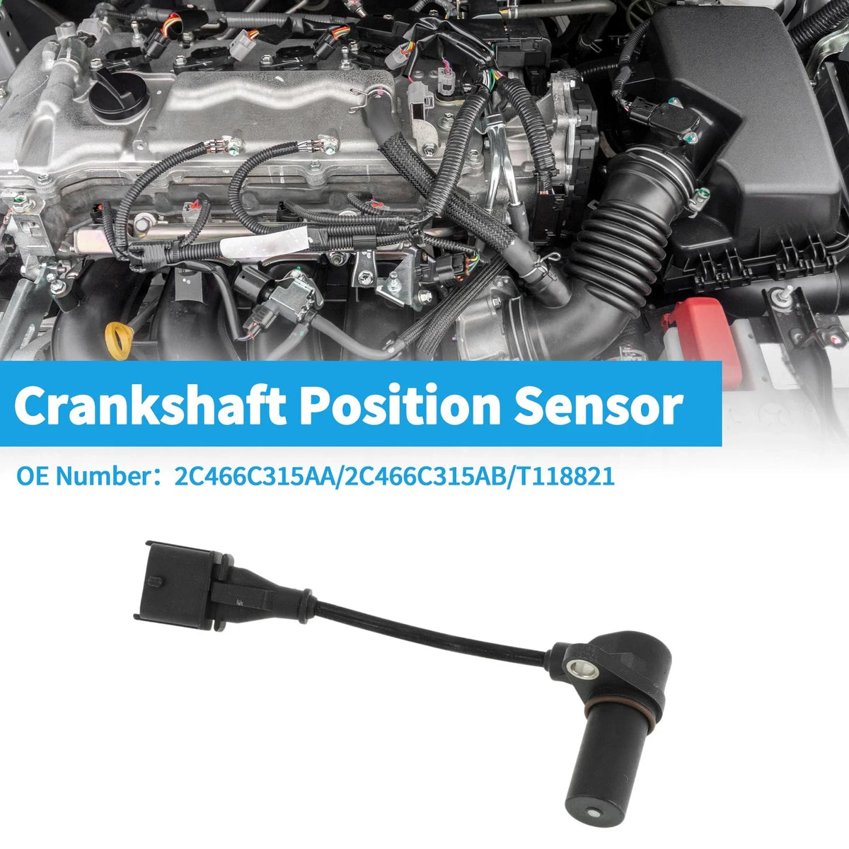 Crankshaft Position Sensor for Ford (1 Pc, No.2C466C315AA)