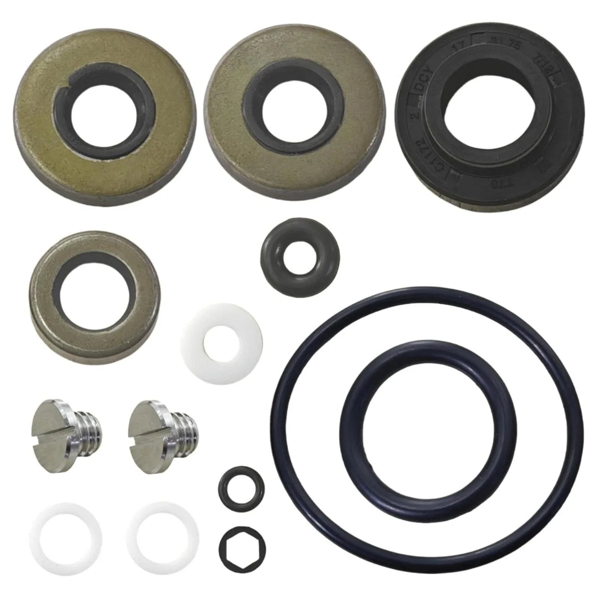 Lower Gearcase Seal Kit with Drain Screws for Johnson Evinrude 9.9 15 Hp (N/A)