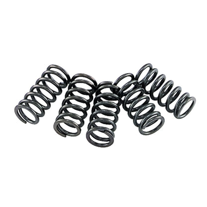 Clutch Spring Kit Upgrade for EBC CSK149 (10% Stiffer)