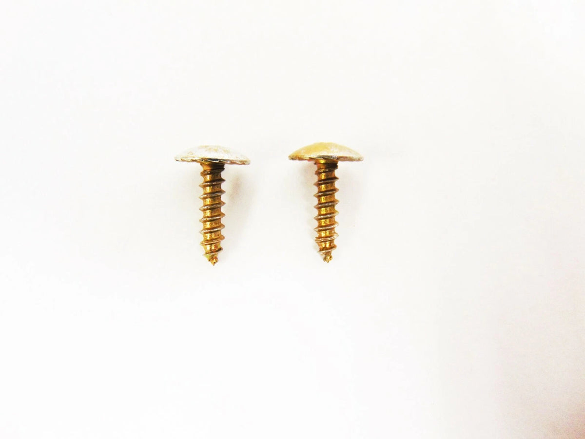 Set of 2 Self Tap Screws for Arctic Cat Snowmobile (0623-700)