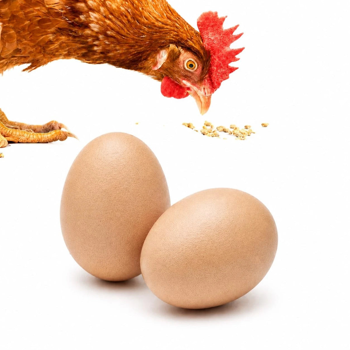 Fake Wooden Eggs for Bird Training (Nesting)