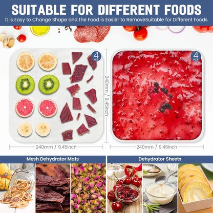 Set of 4 Silicone Food Dehydrator Trays 9.45x9.45in, Transparent