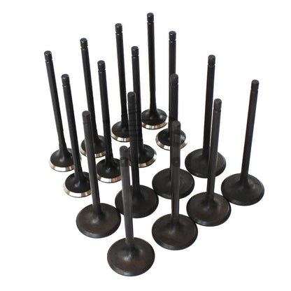 16Pc Engine Intake & Exhaust Valve for Hyundai Soul (2014–2019) 22211-2E000 22212-2E000