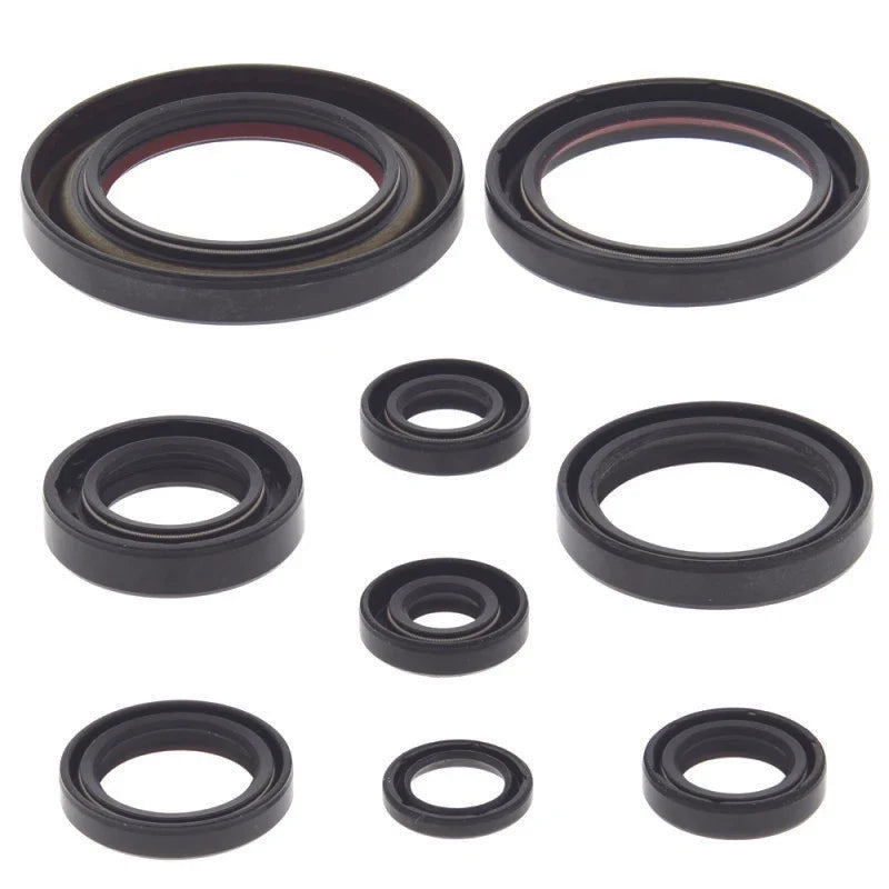 Oil Seal Set for Honda TRX450ER (2006–2014)