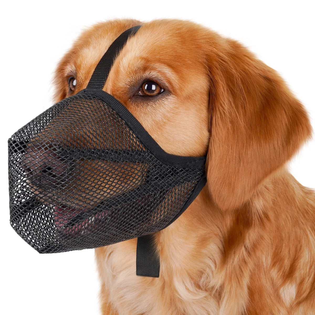 Soft Mesh Dog Muzzle for M (Snout Cir: 9¾"-10¾") - Black