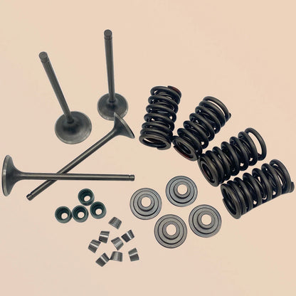 Head Intake & Exhaust Valves Seals Springs Kit for Honda TRX400EX (2000–2006) 30-3111 30-3115 30-3117 MRS16