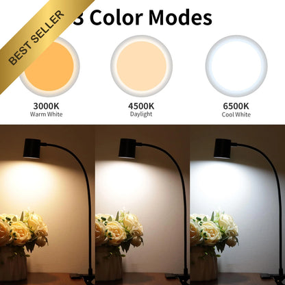 LED Desk Lamp for Dott Arts (USB Clip On, 3 Colors, 10 Brightness Levels)