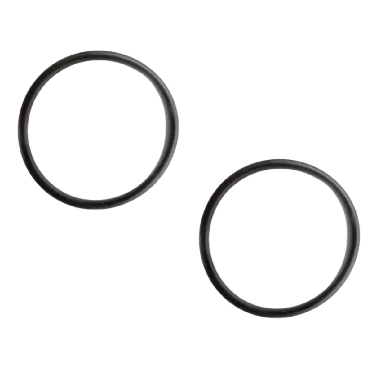 Set of 2 O-Rings for BRP OMC (314491)