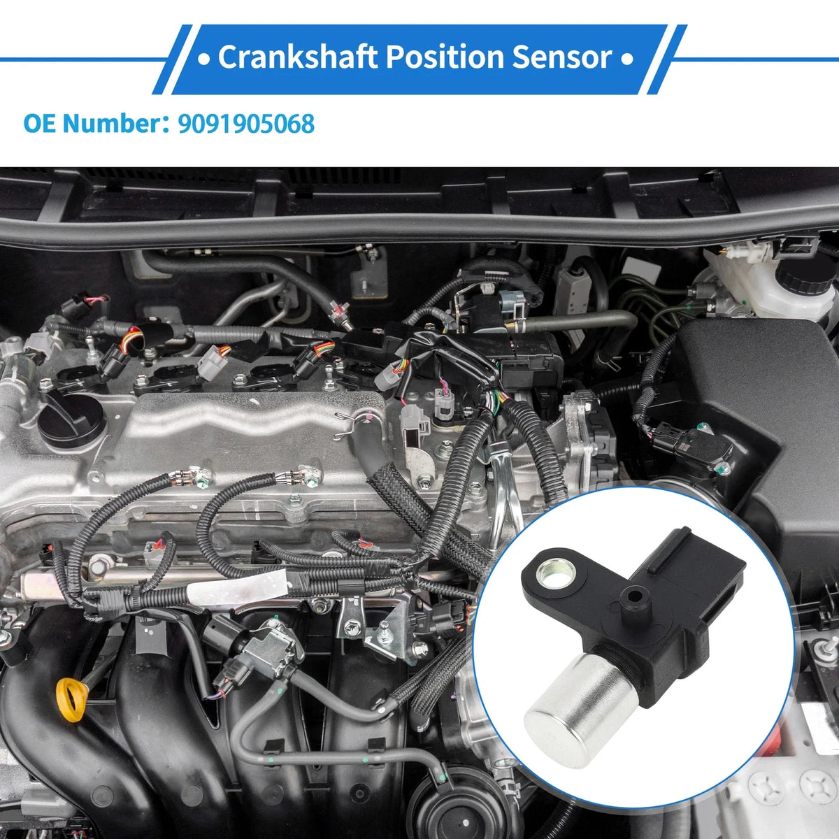 Crankshaft Position Sensor for Toyota (No. 9091905068) (1 Pc) Black Metal Plastic