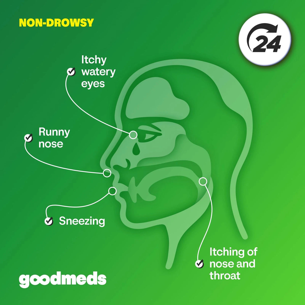 500-Count Non-Drowsy Antihistamine for Allergy Relief