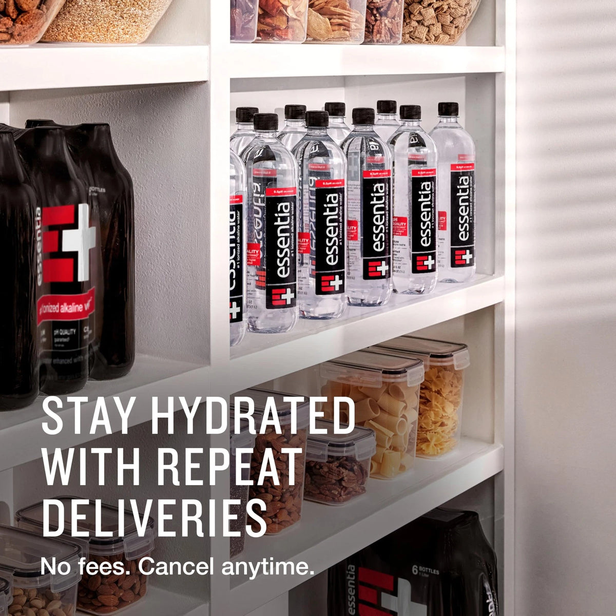 Pack of 12 Essentia Water 99.9% Pure Electrolyte Infused Bottles