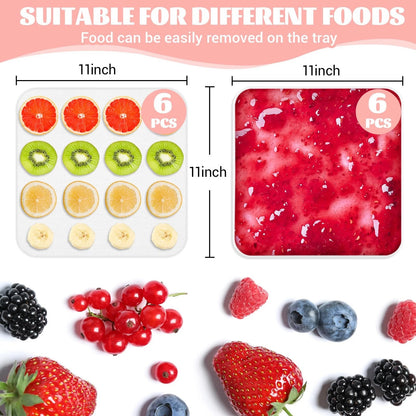 Set of 12 Silicone Dehydrator Sheets for Food Preservation (11 x 11 inches)