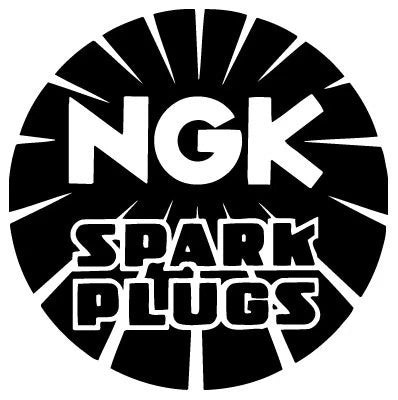 NGK BR6FIX Spark Plug for (4179)
