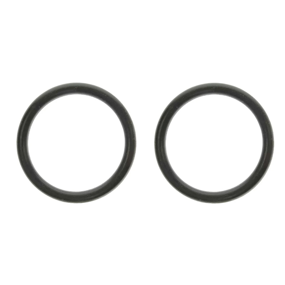 O-Ring Set of 2 for OMC 302493 (Boat Parts)