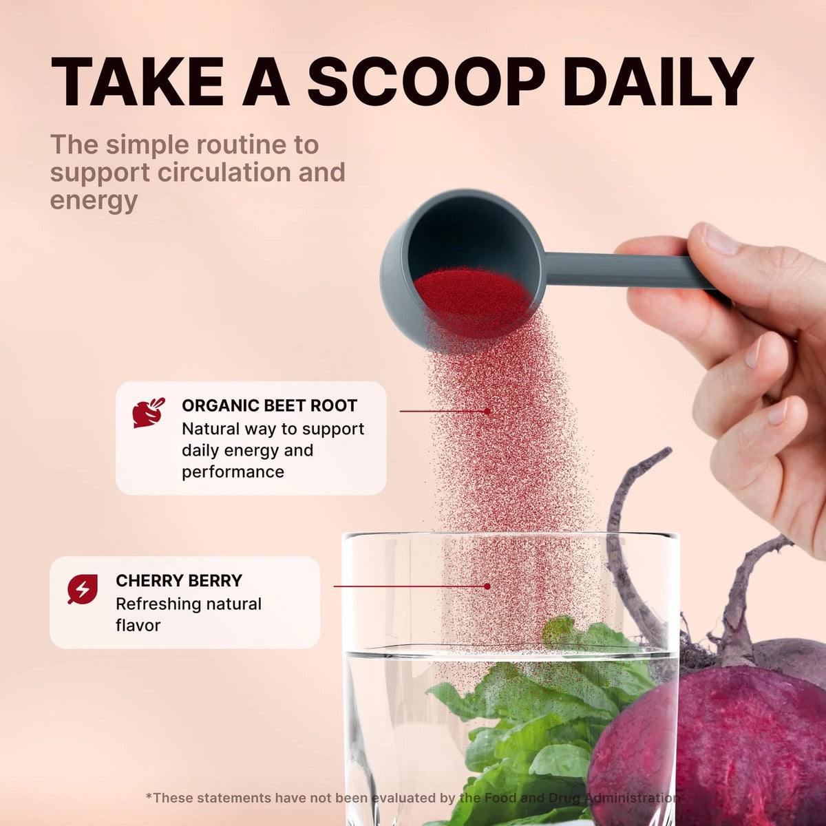 Organic Beet Root Powder for Nitric Oxide Boost (No Part Numbers)