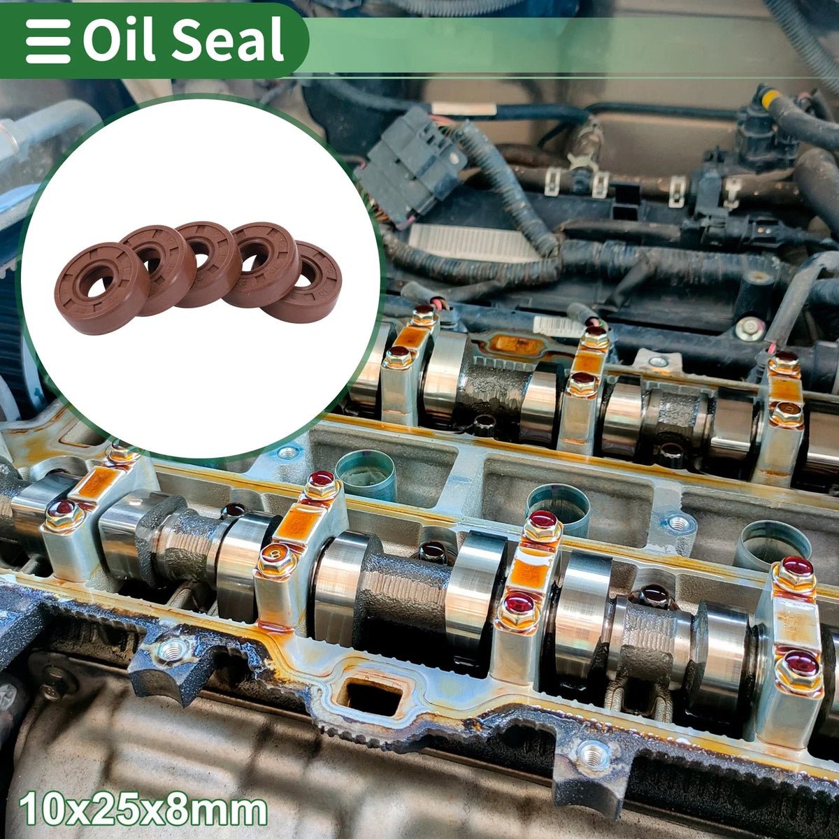 Set of 5 Oil Seal Rotary Shaft Seal 10x25x8mm for Various Models