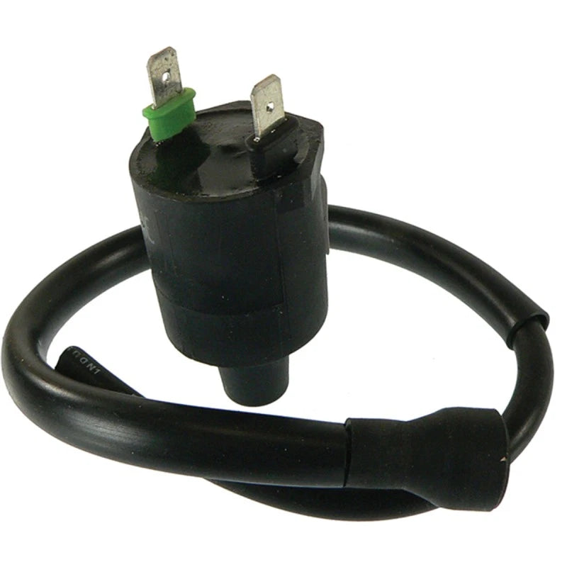 Ignition Coil for Arrowhead 160-01020 (OEM Spec)