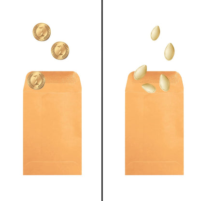 500 Pack Brown Coin Envelope 3.125'' x 5.5''