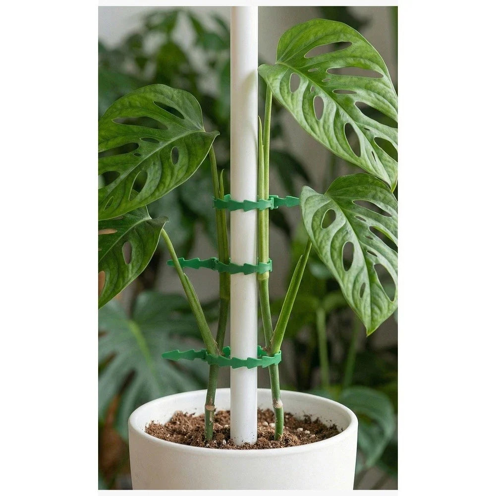 Set of 100 Reusable Green PP Plant Ties for Cable Pipe (17cm x 0.73cm x 0.15cm)