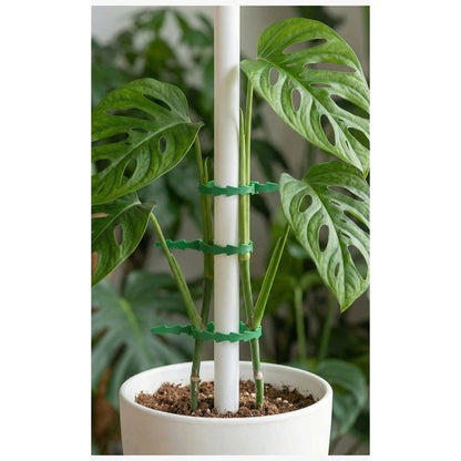 Set of 100 Reusable Green PP Plant Ties for Cable Pipe (17cm x 0.73cm x 0.15cm)