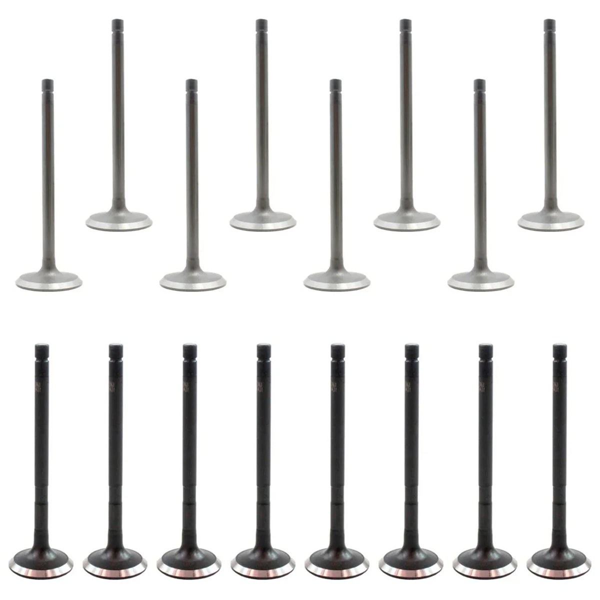 Set of 16 Intake & Exhaust Valves Kit for Cougar Escape Escort Focus (2000–2009)
