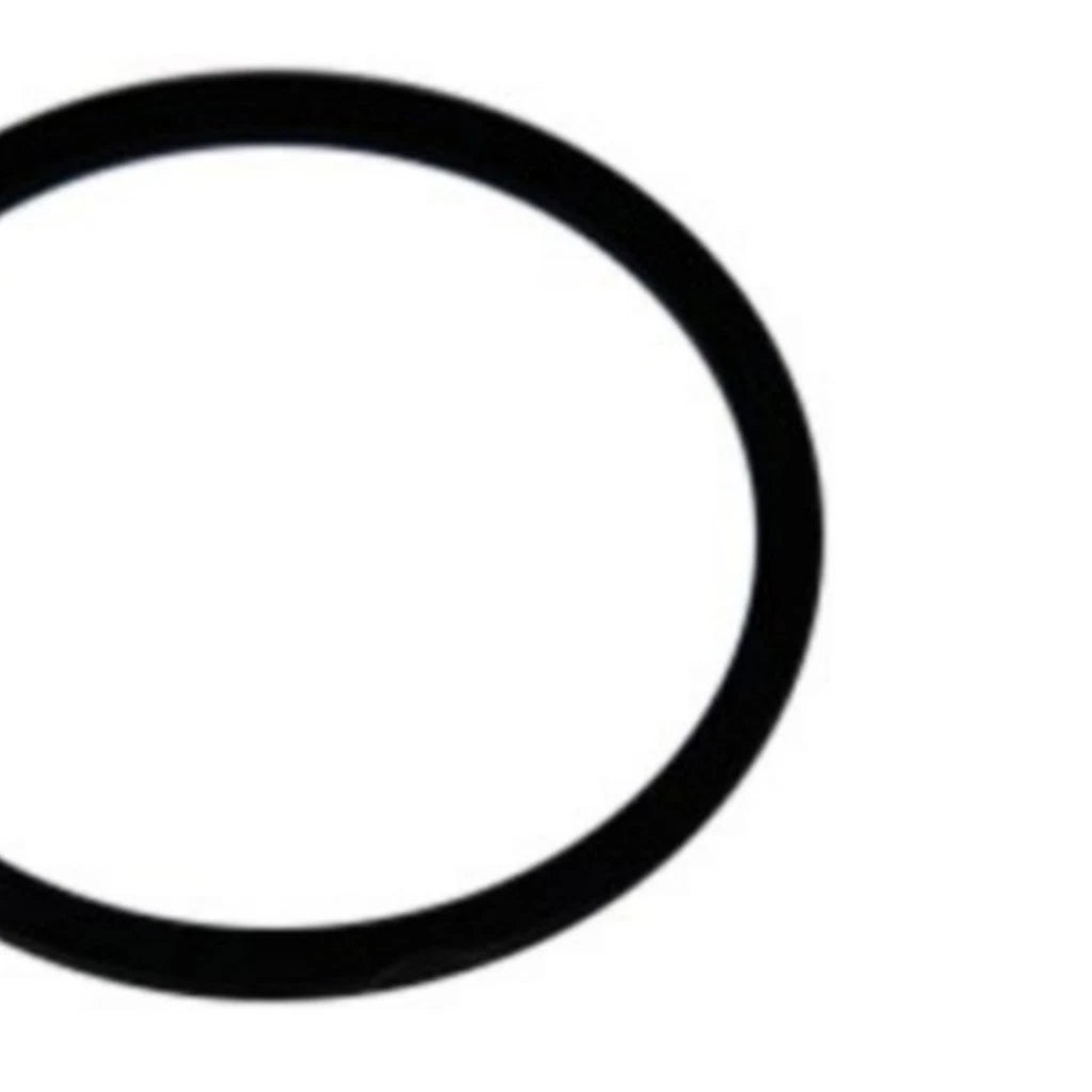 Accumulator Piston Seal for Oldsmobile Aurora (2001–2003) OLX-ACD8679086-CL360A57