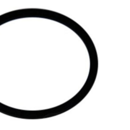 Accumulator Piston Seal for Oldsmobile Aurora (2001–2003) OLX-ACD8679086-CL360A57