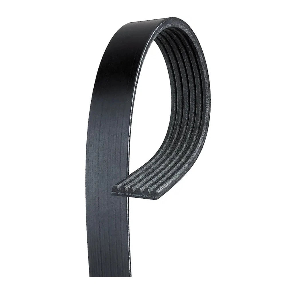 Serpentine Belt for Nissan Cube (2009–2010) OLX-ACD6K435-CL360A57