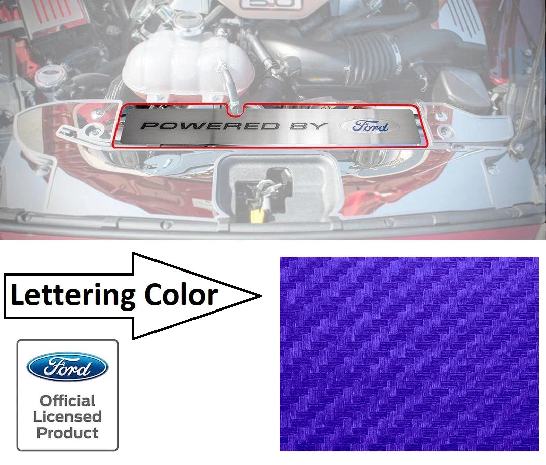 Radiator Cover Plate Replacement for Ford Mustang GT (2015–2017)