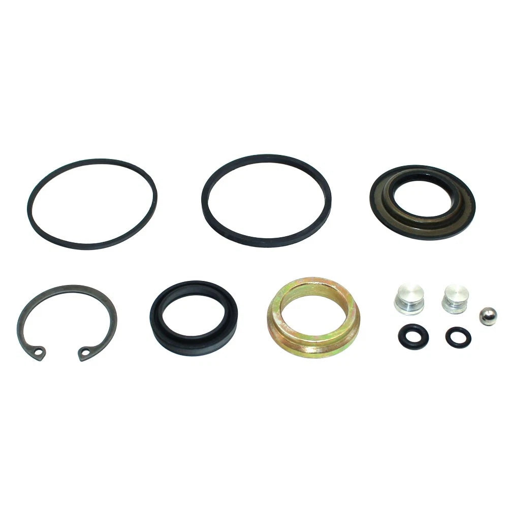 Steering Hand Pump Seal Kit for International (Fits 123465C1)