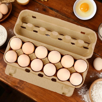 25-Pack Empty Egg Cartons for Various Uses (Natural Paper Pulp)