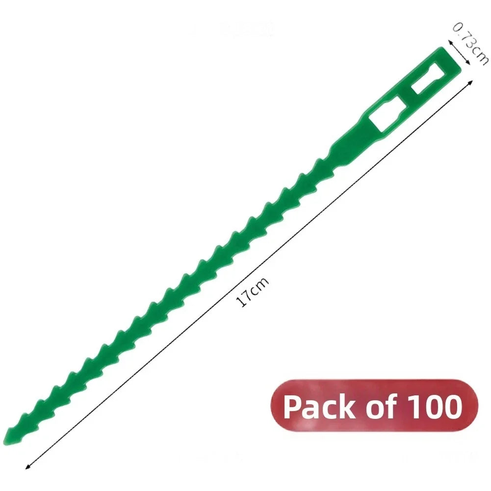 Set of 100 Reusable Green PP Plant Ties for Cable Pipe (17cm x 0.73cm x 0.15cm)