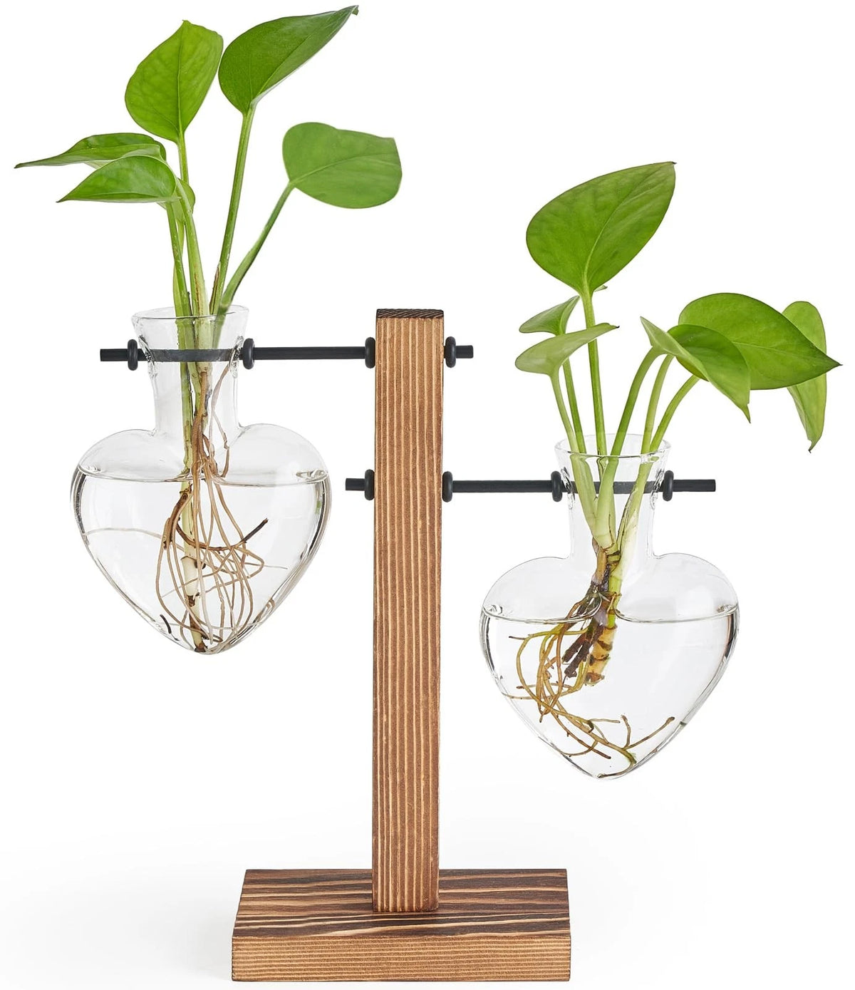 Propagation Station for Mkono Heart Shaped 2 Bulb Vase